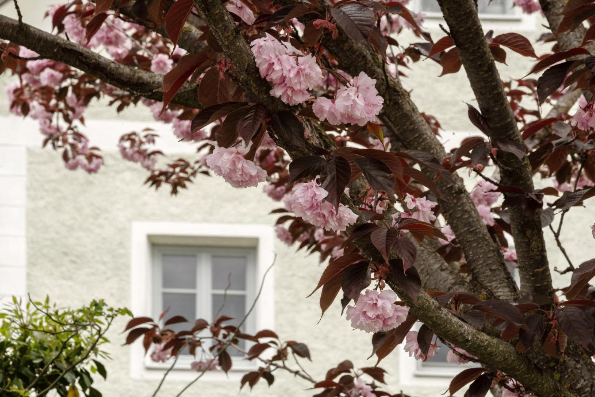 Puenlandhof Appartement Bruneck Buitenkant foto